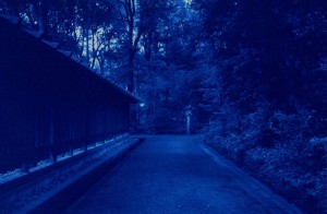 Morning Walk in Blue