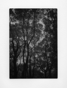 Morning Walk in the Park Yoyogi #1