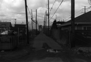 Looking North in Sunnyside 