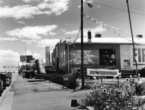 Sunflowers and Fireworks 